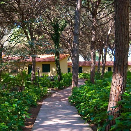 ארבוראה Horse Country Resort Congress & Spa - Hotel Ribot מראה חיצוני תמונה