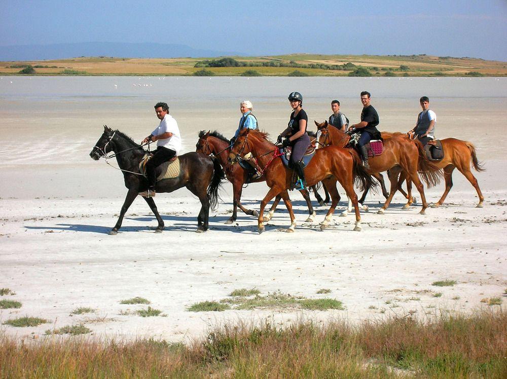 ארבוראה Horse Country Resort Congress & Spa - Hotel Ribot מראה חיצוני תמונה