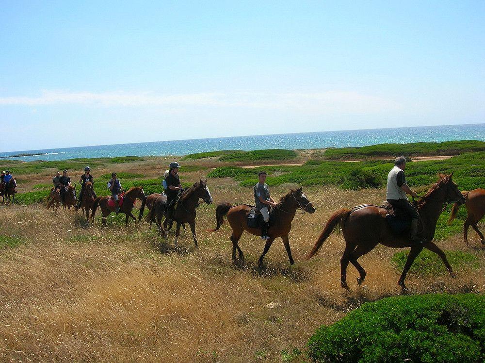 ארבוראה Horse Country Resort Congress & Spa - Hotel Ribot מראה חיצוני תמונה