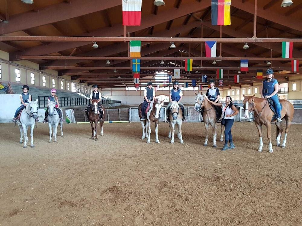 ארבוראה Horse Country Resort Congress & Spa - Hotel Ribot מראה חיצוני תמונה