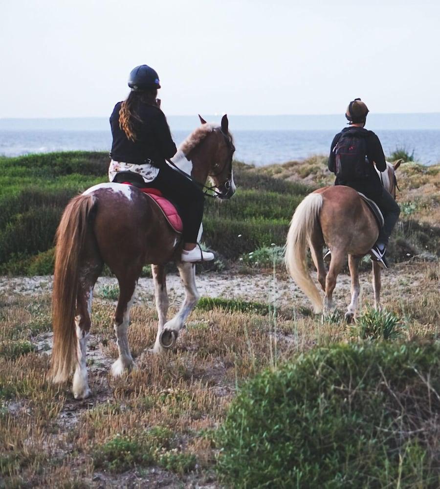 ארבוראה Horse Country Resort Congress & Spa - Hotel Ribot מראה חיצוני תמונה