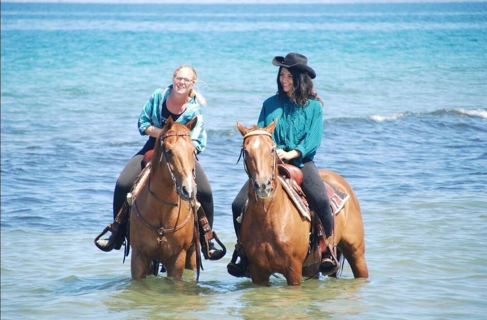 ארבוראה Horse Country Resort Congress & Spa - Hotel Ribot מראה חיצוני תמונה