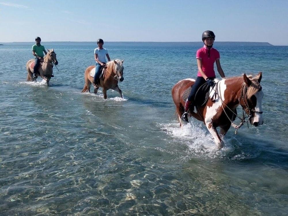 ארבוראה Horse Country Resort Congress & Spa - Hotel Ribot מראה חיצוני תמונה