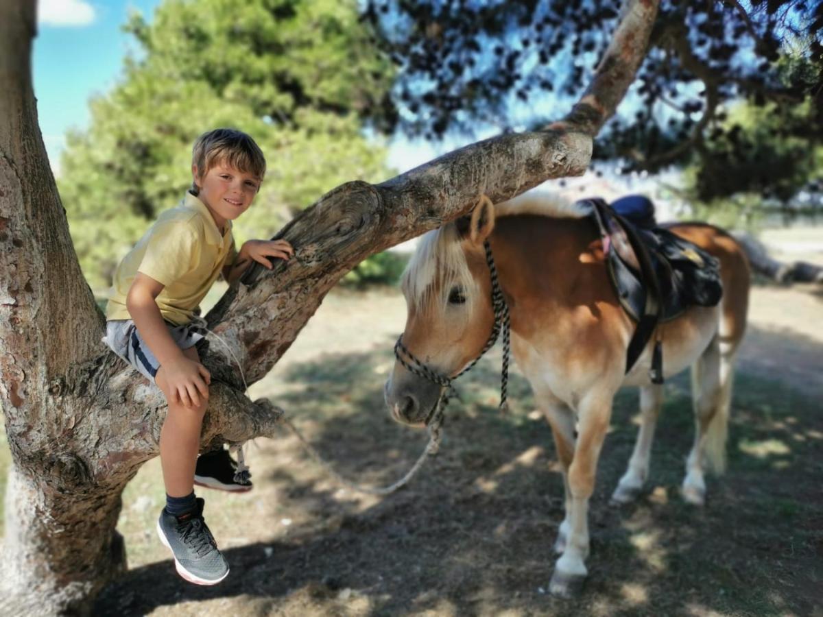 ארבוראה Horse Country Resort Congress & Spa - Hotel Ribot מראה חיצוני תמונה