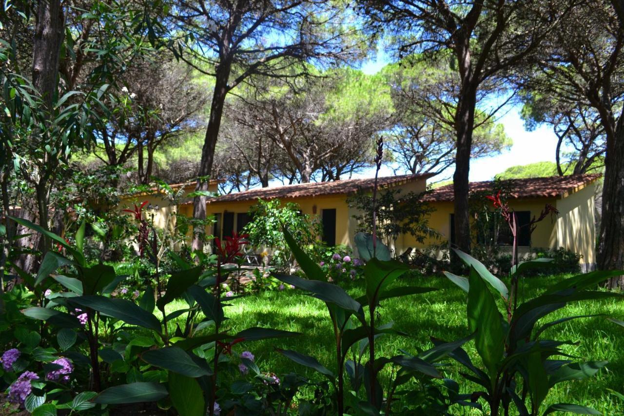 ארבוראה Horse Country Resort Congress & Spa - Hotel Ribot מראה חיצוני תמונה