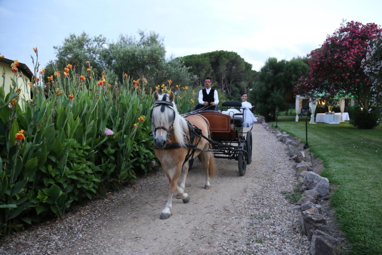ארבוראה Horse Country Resort Congress & Spa - Hotel Ribot מראה חיצוני תמונה